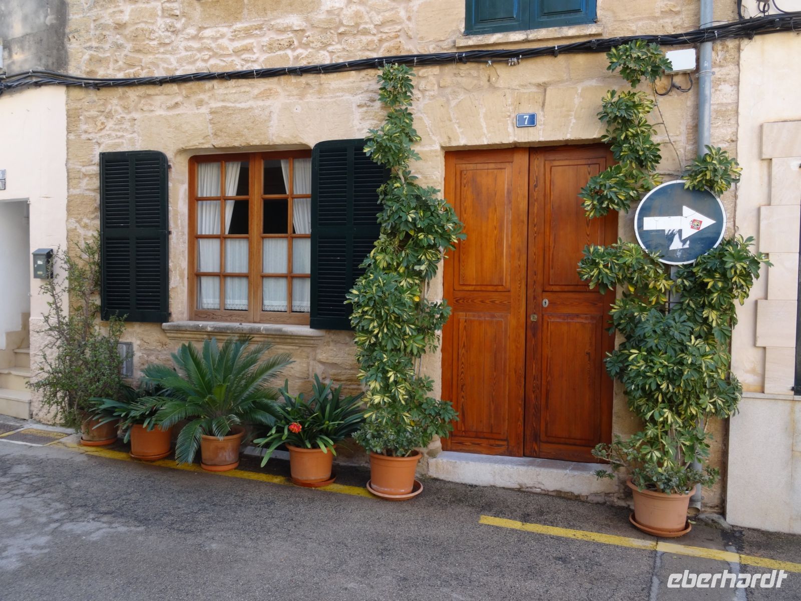 Alcudia und sein Pflanzenschmuck &ndash; &copy; Hans-Joachim Trutz (Eberhardt TRAVEL)