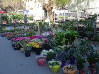 Sineu - Markttag &ndash; &copy; Hans-Joachim Trutz (Eberhardt TRAVEL)