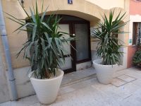Alcudia &ndash; &copy; Hans-Joachim Trutz (Eberhardt TRAVEL)