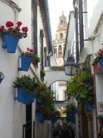 Cordobar Blumengasse &ndash; &copy; Kerstin Hugel (Eberhardt TRAVEL)