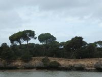 Donana Nationalpark &ndash; &copy; Kerstin Hugel (Eberhardt TRAVEL)