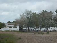 Donana Nationalpark &ndash; &copy; Kerstin Hugel (Eberhardt TRAVEL)