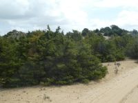 Donana Nationalpark &ndash; &copy; Kerstin Hugel (Eberhardt TRAVEL)