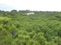 Donana Nationalpark &ndash; &copy; Kerstin Hugel (Eberhardt TRAVEL)