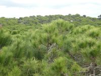 Donana Nationalpark &ndash; &copy; Kerstin Hugel (Eberhardt TRAVEL)