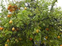 Bodega Tio PEPE &ndash; &copy; Kerstin Hugel (Eberhardt TRAVEL)