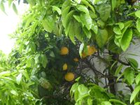 Bodega Tio PEPE &ndash; &copy; Kerstin Hugel (Eberhardt TRAVEL)