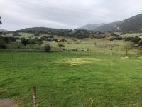 Grazalema &ndash; &copy; Francisco Javier Burgos Gutierrez (Eberhardt TRAVEL)