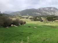 Grazalema  &ndash; &copy; Francisco Javier Burgos Gutierrez (Eberhardt TRAVEL)