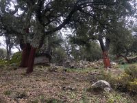 Grazalema &ndash; &copy; Francisco Javier Burgos Gutierrez (Eberhardt TRAVEL)