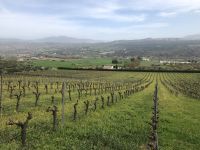 Bodega Ronda &ndash; &copy; Francisco Javier Burgos Gutierrez (Eberhardt TRAVEL)