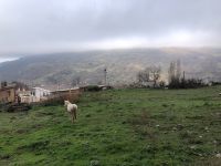 Bubion  &ndash; &copy; Francisco Javier Burgos Gutierrez (Eberhardt TRAVEL)