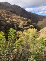 PN Sierra Nevada - Alpujarra  &ndash; &copy; Francisco Javier Burgos Gutierrez (Eberhardt TRAVEL)