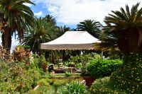 Santa Cruz de La Palma - Finca de la Principal &ndash; &copy; Martin Büchner (Eberhardt TRAVEL)