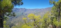 Wanderung am Mirador de la Cumbrecita &ndash; &copy; Martin Büchner (Eberhardt TRAVEL)