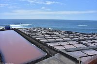 Salinas de Fuencaliente &ndash; &copy; Martin Büchner (Eberhardt TRAVEL)