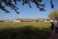 Mühlenpanorama Consuegra &ndash; &copy; Andreas Böcker (Eberhardt TRAVEL)