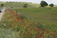 La Mancha &ndash; &copy; Andreas Böcker (Eberhardt TRAVEL)