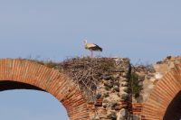 &copy; Andreas Böcker (Eberhardt TRAVEL)