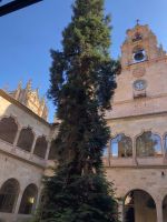 Salamanca  &ndash; &copy; Francisco Javier Burgos Gutierrez (Eberhardt TRAVEL)