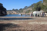 Bucht in Cala Pi