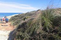 Mediterrane Flora &ndash; &copy; Anne Sturm (Eberhardt TRAVEL)