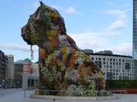 Bilbao - Blumenhund Puppy &ndash; &copy; Claudia Bernhardt (Eberhardt TRAVEL)