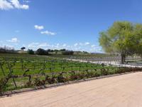 Villafranca - Weingut Torres &ndash; &copy; Claudia Bernhardt (Eberhardt TRAVEL)