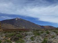 Teide-Nationalpark &ndash; &copy; Anna Stiebing (Eberhardt TRAVEL)