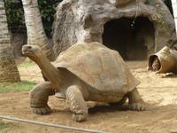 Loro Parque &ndash; &copy; Anna Stiebing (Eberhardt TRAVEL)