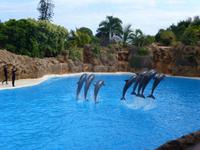 Loro Parque &ndash; &copy; Anna Stiebing (Eberhardt TRAVEL)