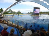 Loro Parque