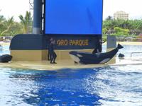 Loro Parque &ndash; &copy; Anna Stiebing (Eberhardt TRAVEL)