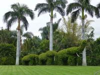 Loro Parque &ndash; &copy; Anna Stiebing (Eberhardt TRAVEL)