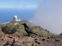 &copy; Willy Gräske (Eberhardt TRAVEL)