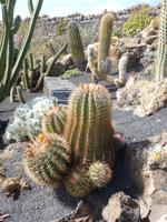 P1020241 &ndash; &copy; Doreen Gerlach (Eberhardt TRAVEL)