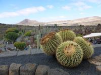 P1020247 &ndash; &copy; Doreen Gerlach (Eberhardt TRAVEL)