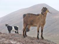 P1020387 &ndash; &copy; Doreen Gerlach (Eberhardt TRAVEL)
