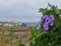 P1020414 &ndash; &copy; Doreen Gerlach (Eberhardt TRAVEL)
