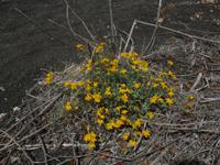 P1020612 &ndash; &copy; Doreen Gerlach (Eberhardt TRAVEL)