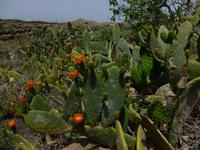 P1020722 &ndash; &copy; Doreen Gerlach (Eberhardt TRAVEL)