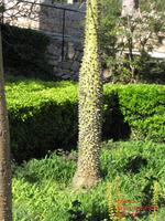 Gärten von Alfabia &ndash; &copy; Michael Krause (Eberhardt TRAVEL)