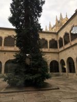 Salamanca  &ndash; &copy; Francisco Javier Burgos Gutierrez (Eberhardt TRAVEL)