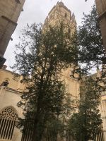 Segovia  &ndash; &copy; Francisco Javier Burgos Gutierrez (Eberhardt TRAVEL)