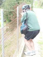 Radtour Porreres-Llucmajor &ndash; &copy; Nicole Fischer (Eberhardt TRAVEL)