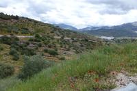 Sierra de la Ronda &ndash; &copy; Nicole Fischer (Eberhardt TRAVEL)