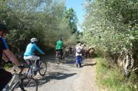 Behinderung auf der Radtour auf Arcos de la Frontera &ndash; &copy; Nicole Fischer (Eberhardt TRAVEL)