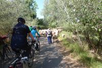 Behinderung auf der Radtour auf Arcos de la Frontera &ndash; &copy; Nicole Fischer (Eberhardt TRAVEL)