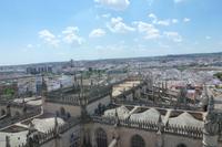 Blick auf Sevilla von der Giralda &ndash; &copy; Nicole Fischer (Eberhardt TRAVEL)