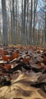 Im Park von Girona &ndash; &copy; Ksenia Parfenova (Eberhardt TRAVEL)